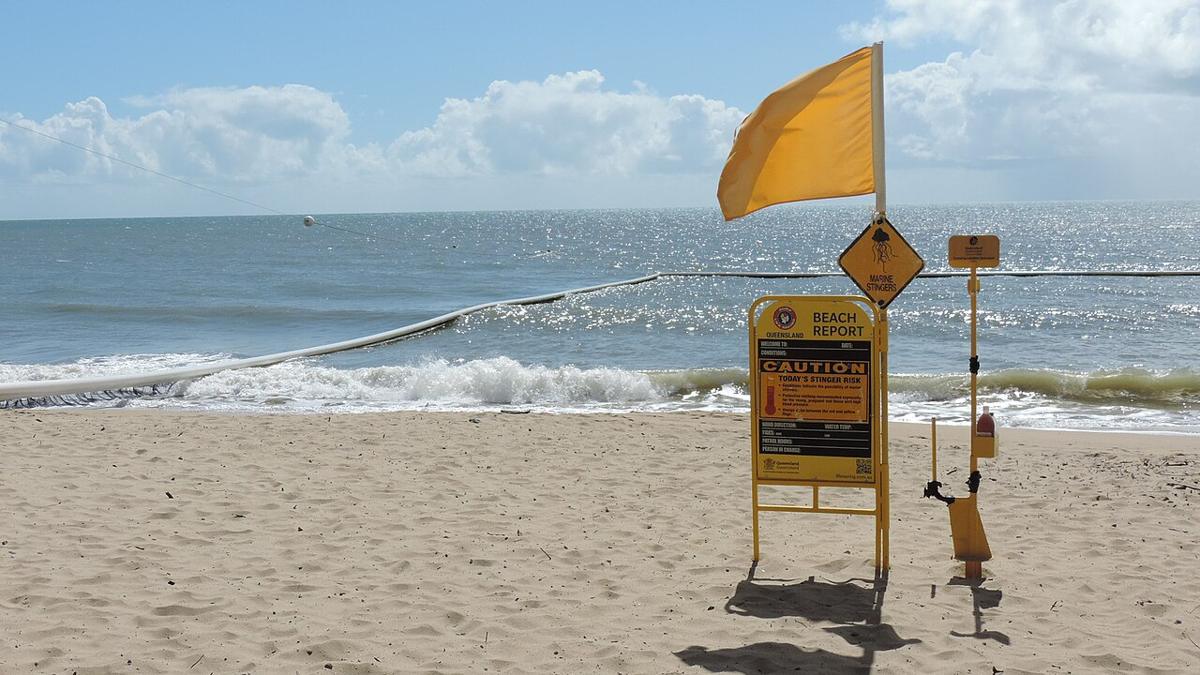 Stingernetz an einem Strand in Queensland